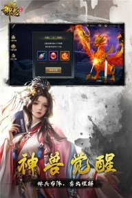 御龙无双官方正版(5)