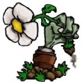 植物大战僵尸核版