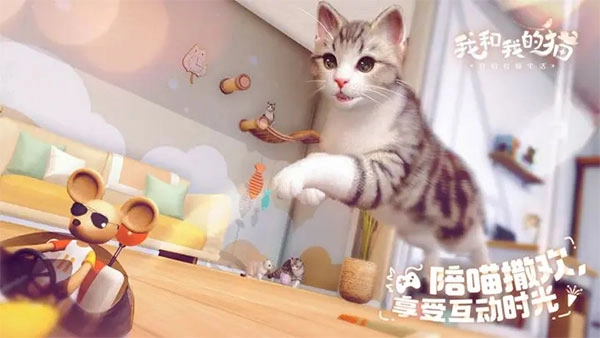 我和我的猫手游下载