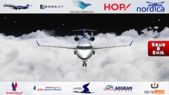 flight787最新手机版安卓下载