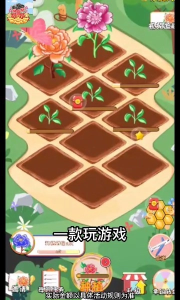 美丽牡丹园天降红包(3)