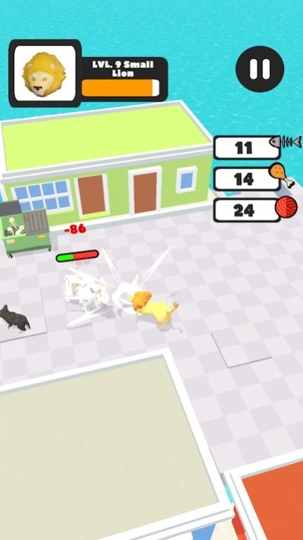空闲街头猫咪图1