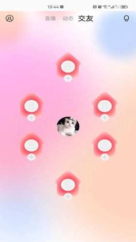 百花直播app旧版本(3)