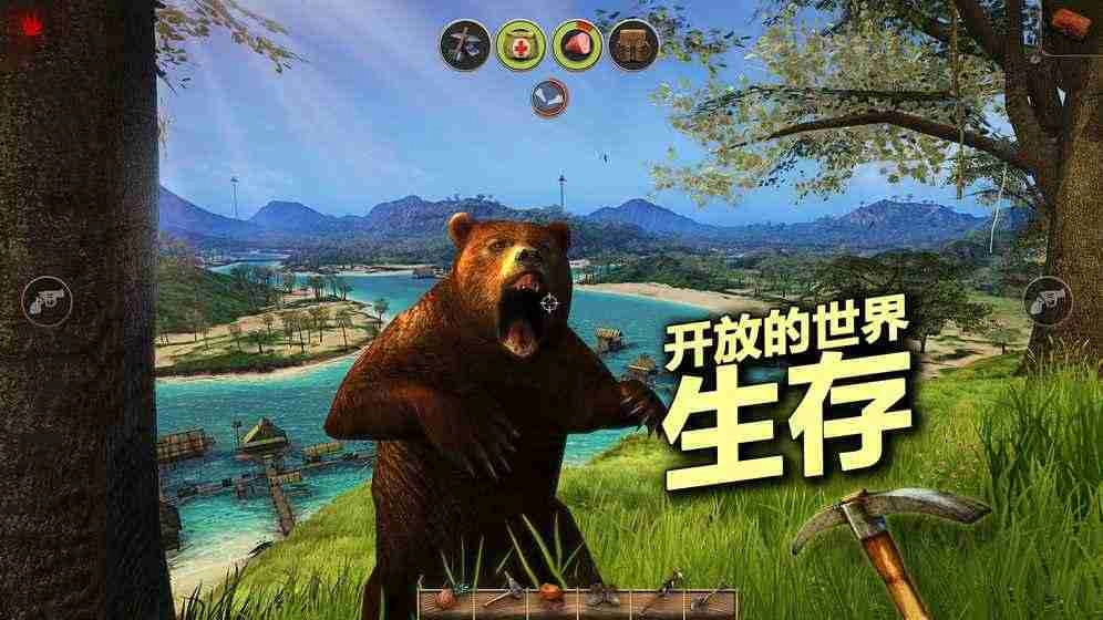 辐射岛图1