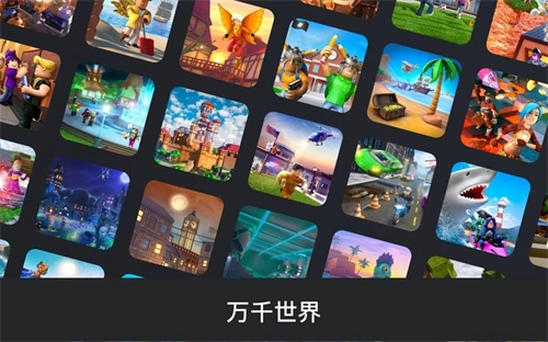 roblox手机版(3)