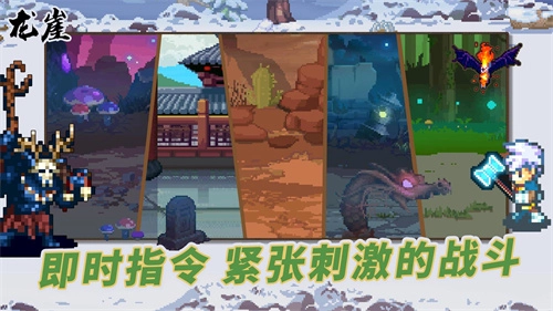 龙崖手机版图3