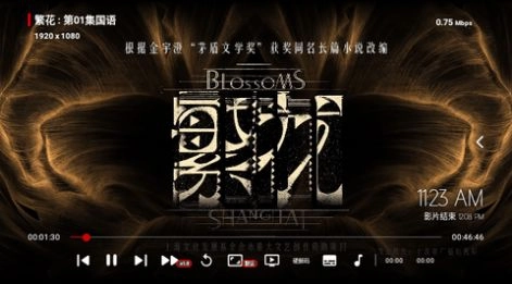 付成影视图2