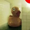 池核poolsDemo试玩版