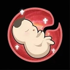 的人生