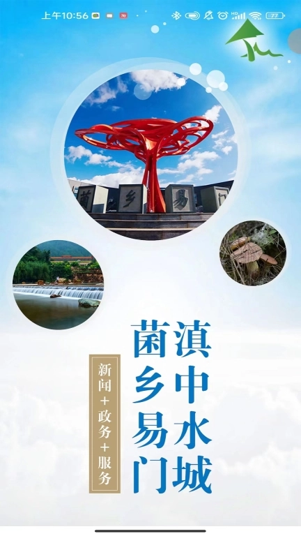 菌乡易门图1