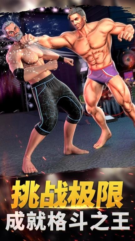 火柴功夫格斗大师手机版