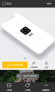 验正图1