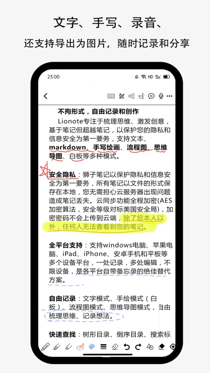 Lionote图2