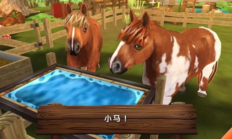 动物旅馆图1