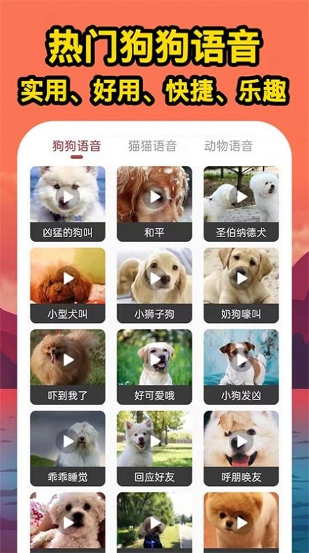 人人猫狗翻译交流器安卓版图2