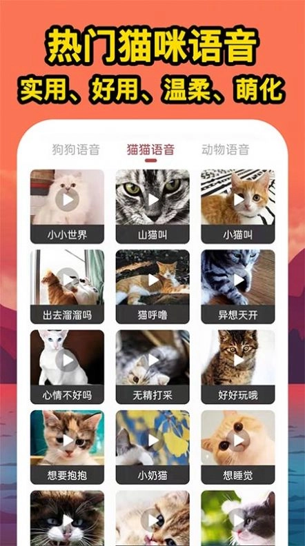 人人猫狗翻译交流器安卓版图3