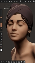 nomad sculpt图3