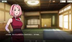 女忍者训练师图2