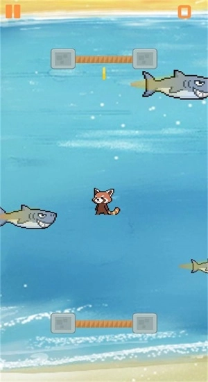 别被鲨鱼吃掉图2