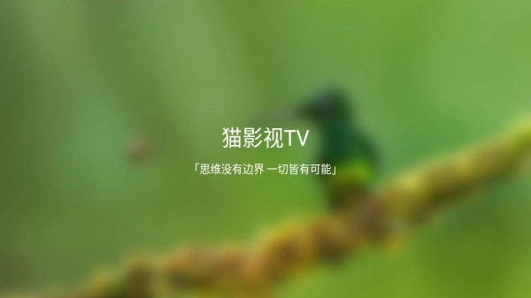 猫影视T图2