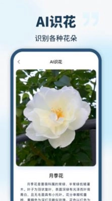 智能识别全能王手机版图2