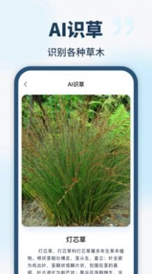 智能识别全能王手机版图3
