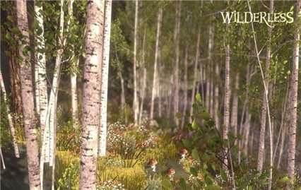 wilderless图2