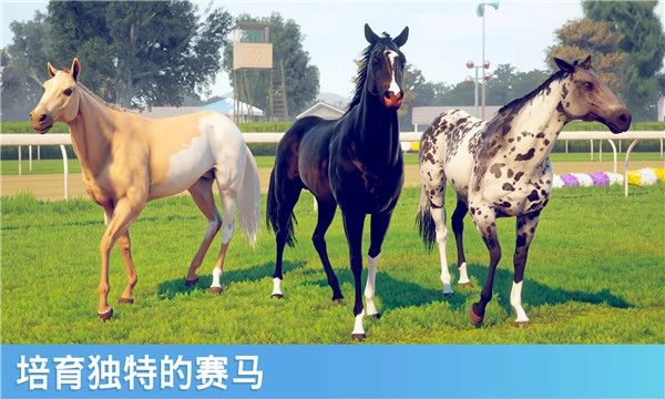 rivalstars赛马最新版图1