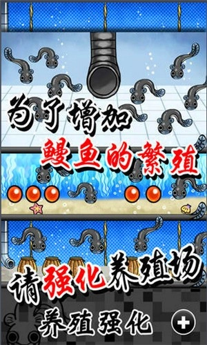 鳗鱼养殖场图1