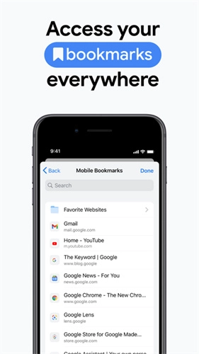 谷歌chrome浏览器图1