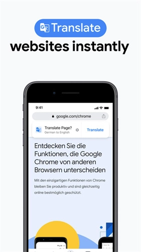 谷歌chrome浏览器图4