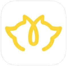 狐友(搜狐高颜值聊天交友平台)forandroid安卓手机版