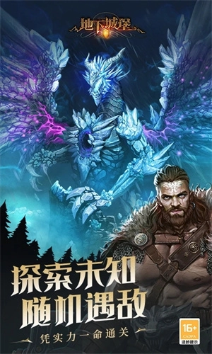 地下城堡2黑暗觉醒内购版(4)