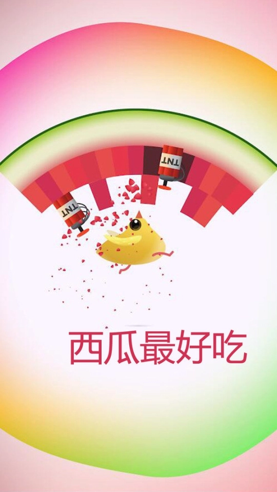小鸡战斗图1