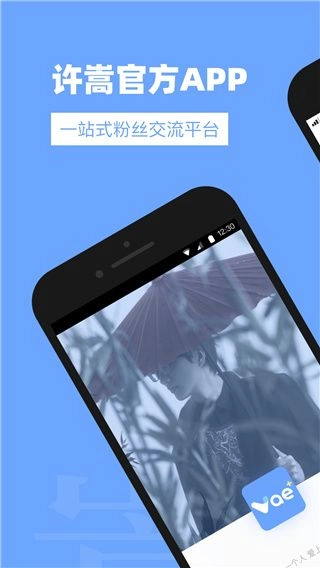 vae+最新版安装下载