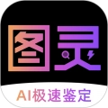 图灵鉴定ai鉴定