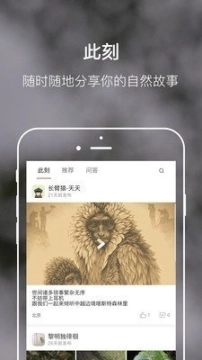 缤纷自然图1