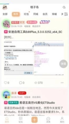 桔子岛图3