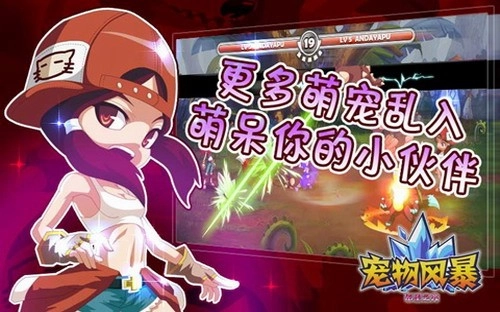 宠物风暴希望之光经典版下载