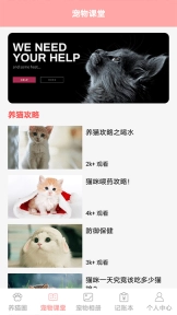 遇见我的猫安卓下载