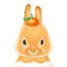 云搬家