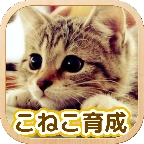 3D猫咪养成3DM汉化版