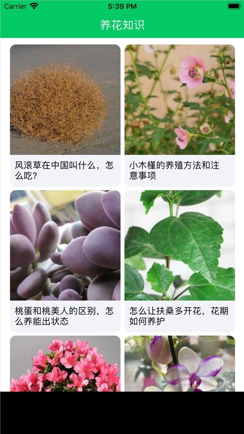 养花大亨经典版下载