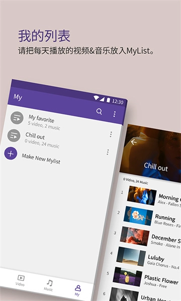 KMPlayerPlus(Divx)最新版下载
