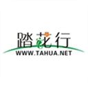踏花行