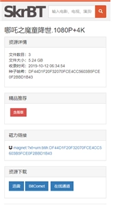 skrbt引擎浏览器手机版安装包下载