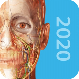 2026人体解剖学图谱正式版