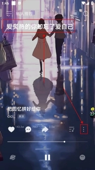 波点音乐App老版本下载