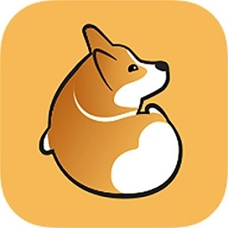 Corgi