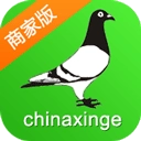 中国信鸽信息网商家版